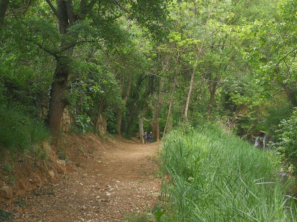 La Casa Dels Ocells (Adults Only) Bed and Breakfast Granollers de Florejacs Buitenkant foto
