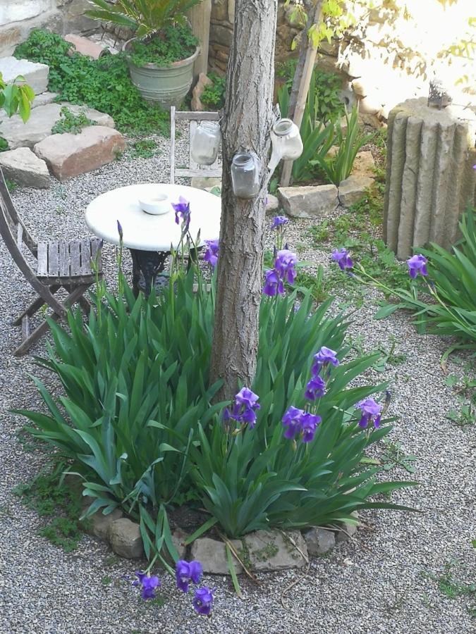 La Casa Dels Ocells (Adults Only) Bed and Breakfast Granollers de Florejacs Buitenkant foto